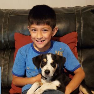 Meet your Posher, Rosa